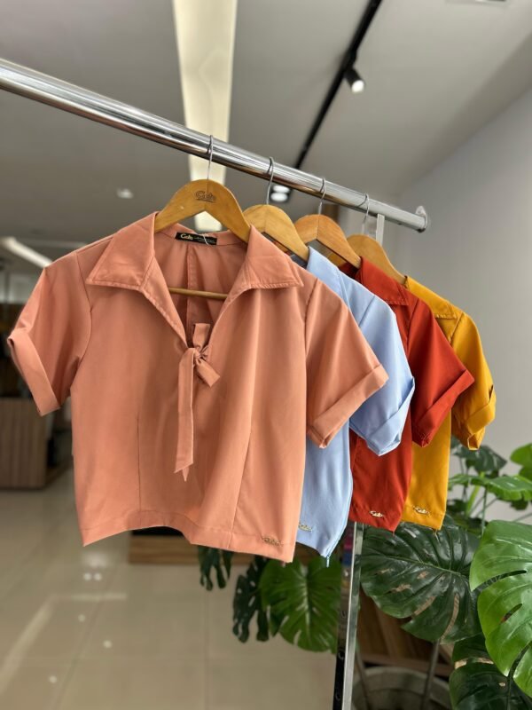 Blusa Cropped com Manga e Laço na Frente - Imagem 3